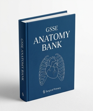 Anatomy Bank